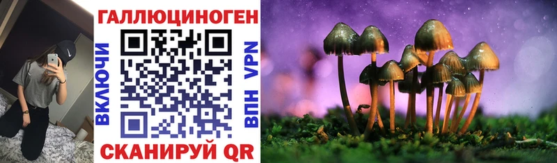 Псилоцибиновые грибы мицелий  Купить закладки  Остров 